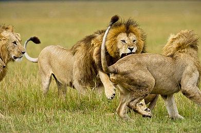 任天堂Switch第一方游戏仅剩3款尚未发售