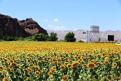 《无畏契约》定档7.12上线 国服首创“无畏时刻”回放功能惊喜亮相