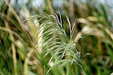 《禁区：青鬼洞窟》8月29日发售 好评日恐系列新作